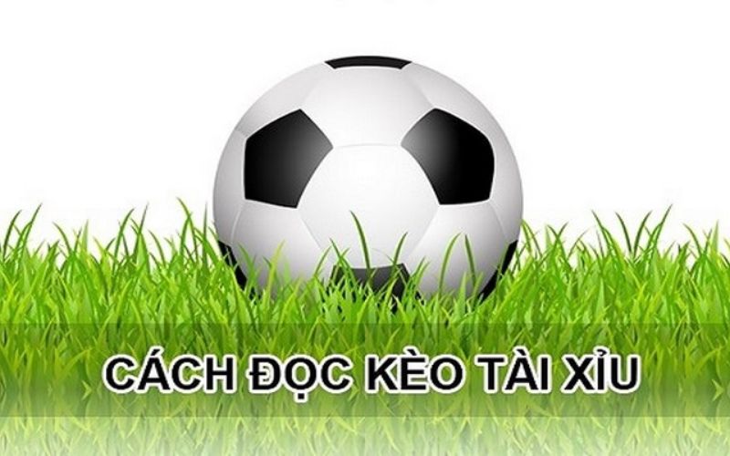 Cách soi kèo tài xỉu bất bại